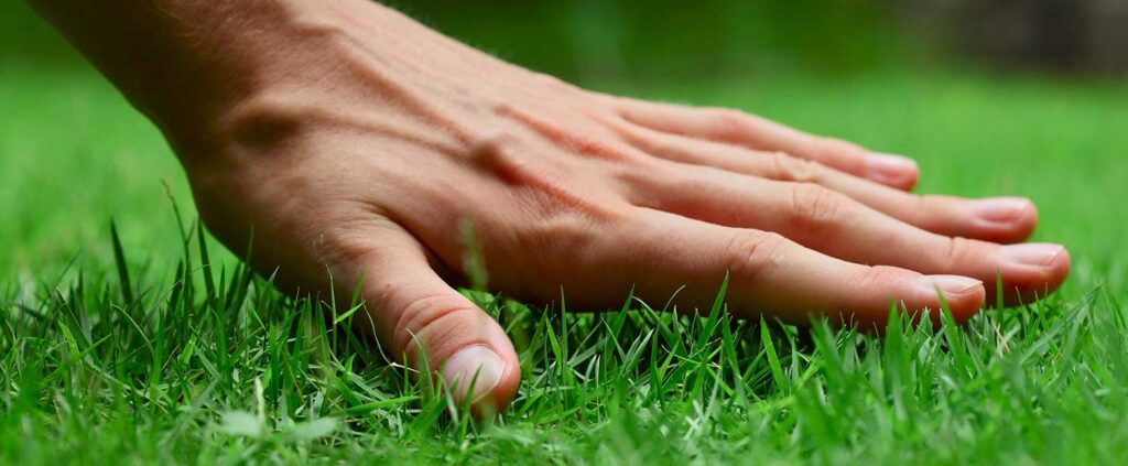 hand gliding over a green lawn